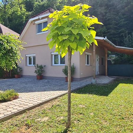 Vizparti Nyaralo Villa Fonyód Dış mekan fotoğraf