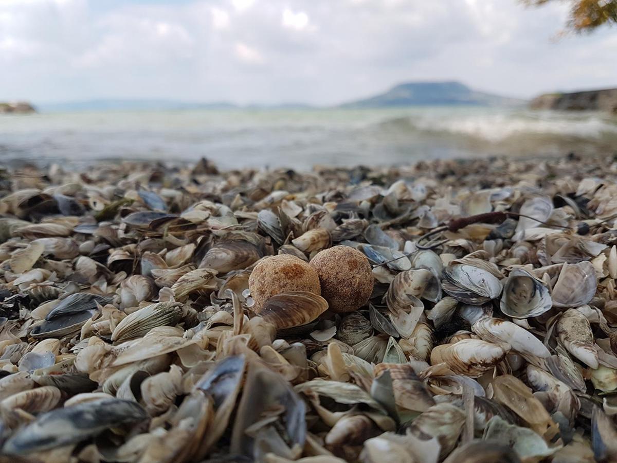 Vizparti Nyaralo Villa Fonyód Dış mekan fotoğraf