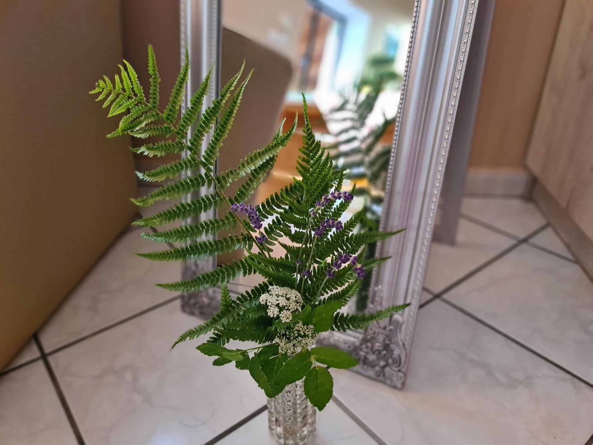 Vizparti Nyaralo Villa Fonyód Dış mekan fotoğraf